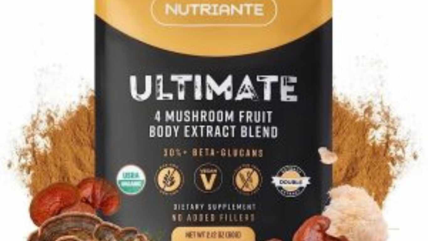 Lions Mane Supplement