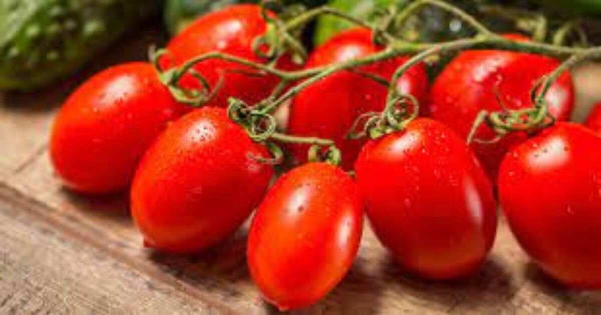 Roma Tomato Nutrition