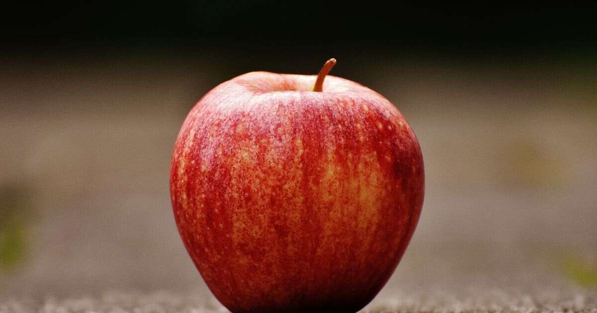 Gala Apple