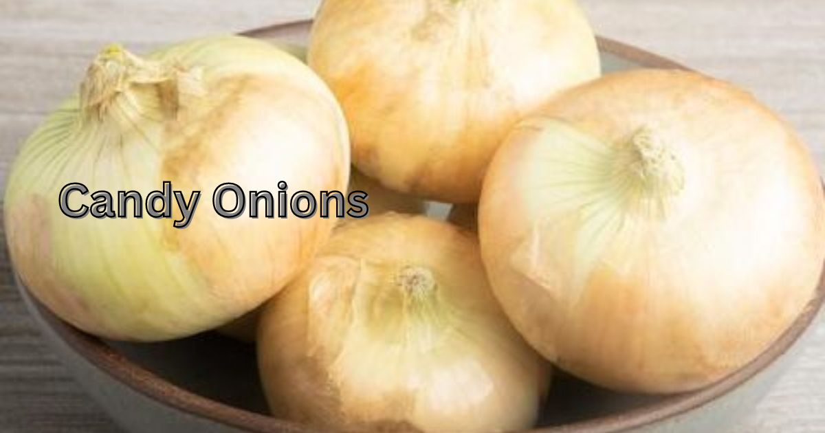 Candy Onions