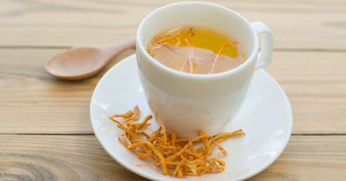 Shroom Tea