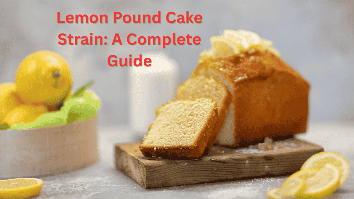 How to Grow Lemon Pound Cake Strain