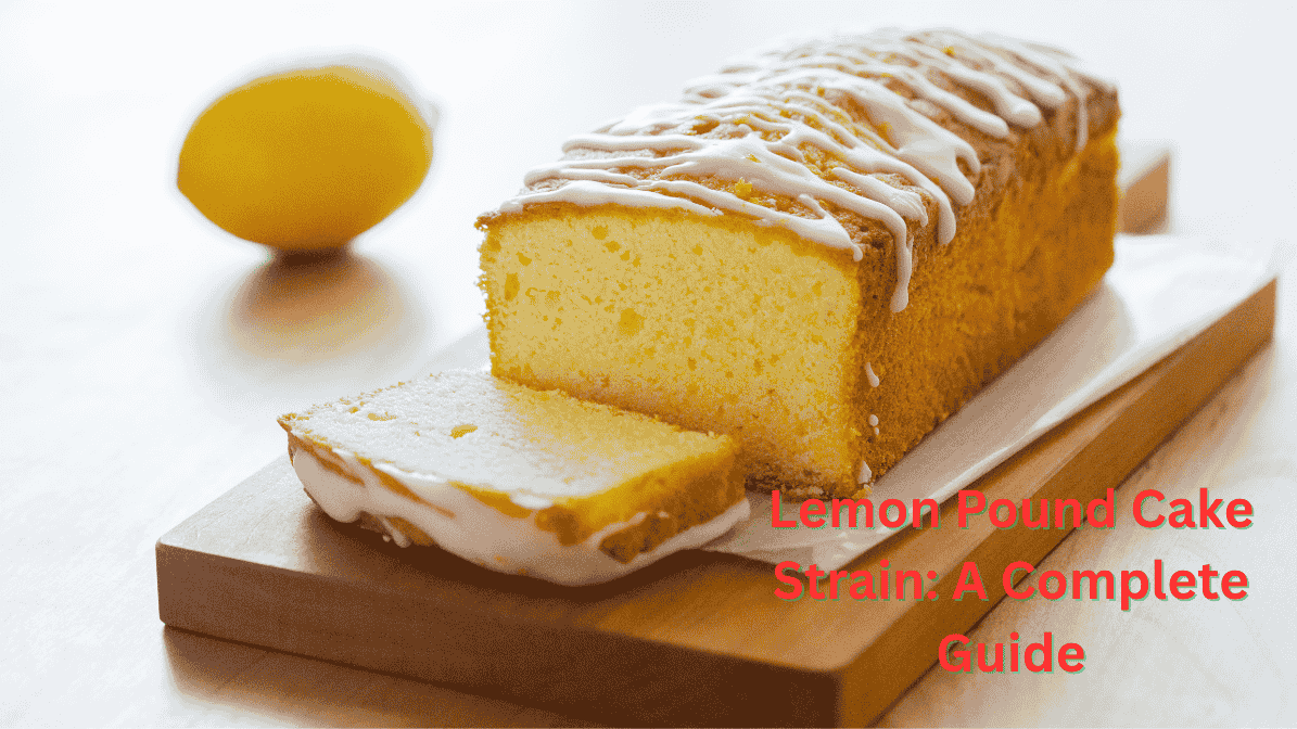 Lemon Pound Cake Strain Appearance and Aroma