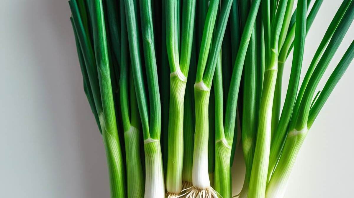 health benefit of Green Onions